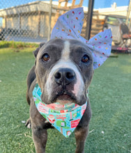 Load image into Gallery viewer, Merry & Bright Bow Headband