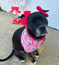 Load image into Gallery viewer, Pink Merry Pitmas Bandana