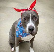 Load image into Gallery viewer, We Can Do It Bandana