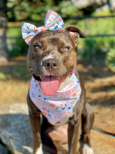 Load image into Gallery viewer, Unicorns and Flamingos Bandana/Bow Set