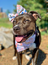 Load image into Gallery viewer, Unicorns and Flamingos Bandana/Bow Set
