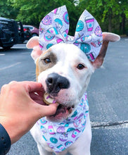 Load image into Gallery viewer, 5 Mystery Bow Headbands/Bow Ties