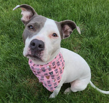 Load image into Gallery viewer, Pink End BSL Bandana