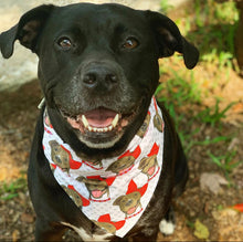 Load image into Gallery viewer, Mazy In Red Bandana