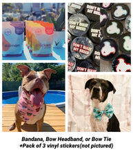 Load image into Gallery viewer, Pitbull Awareness Box (4 items)