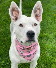 Load image into Gallery viewer, Pink Don't Bully My Breed Bandana