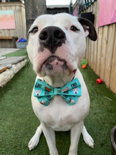 Load image into Gallery viewer, 5 Mystery Bow Headbands/Bow Ties