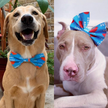 Load image into Gallery viewer, Rescued and Loved Bow Tie/Bow Headband Preorder