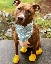 Load image into Gallery viewer, Rainy Days Bandana