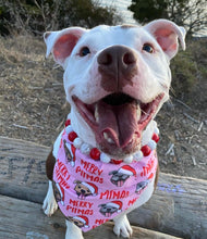 Load image into Gallery viewer, Pink Merry Pitmas Bandana