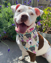 Load image into Gallery viewer, Pitties in Bows Bandana
