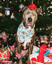 Load image into Gallery viewer, Pitties Wearing Santa Hats Bandana