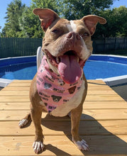 Load image into Gallery viewer, Pink Don't Bully My Breed Bandana