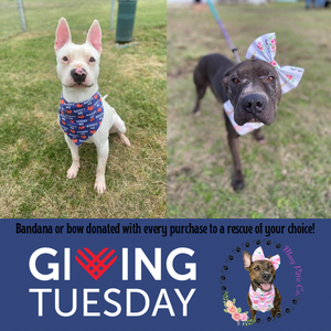 Donation Bandana/Bow to a rescue/shelter of your choice!!