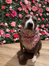 Load image into Gallery viewer, Valentine&#39;s Day Floral Bandana

