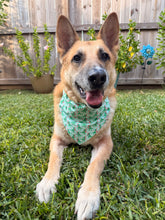 Load image into Gallery viewer, Christmas Dinosaurs Bandana
