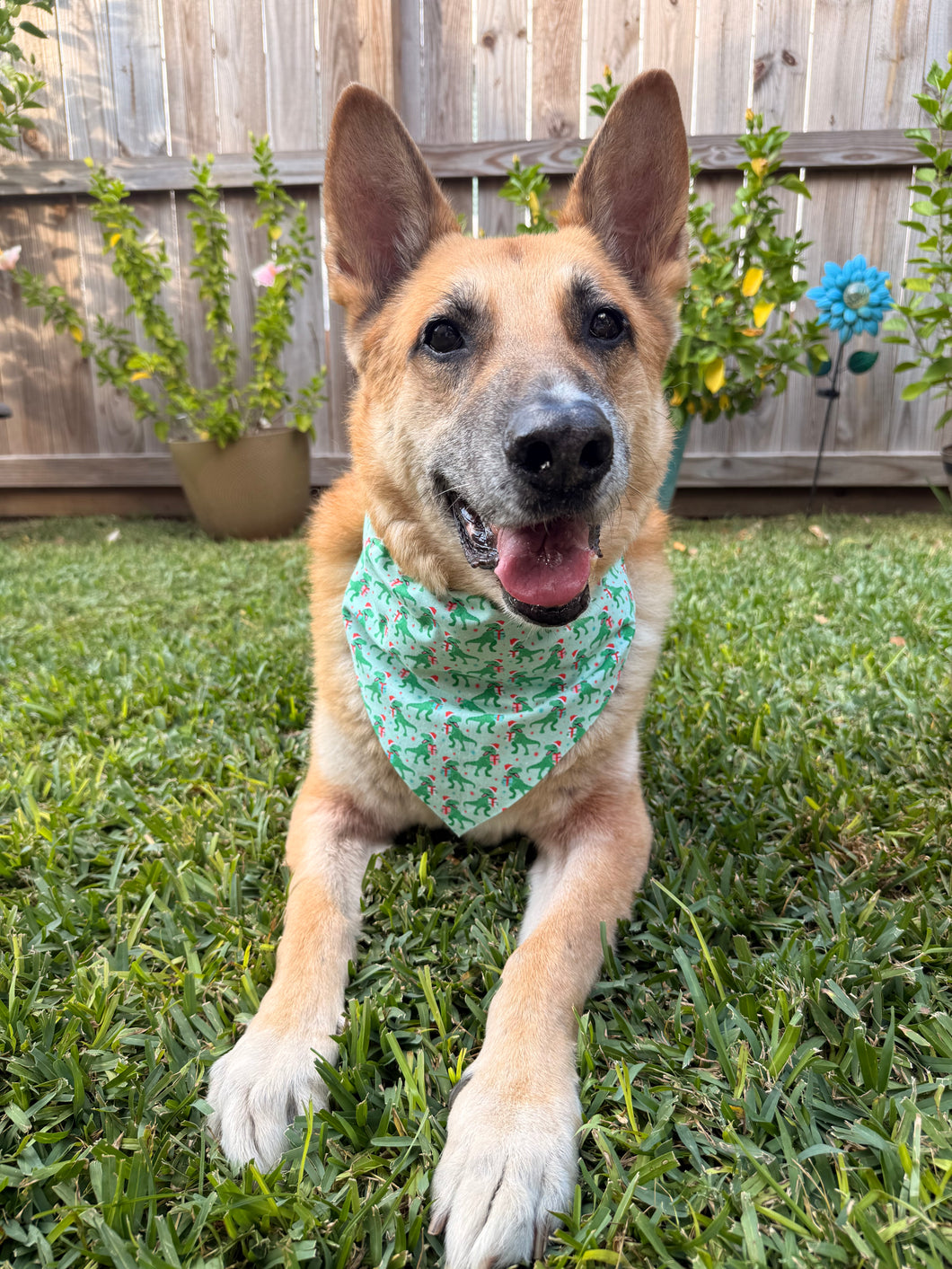 Christmas Dinosaurs Bandana