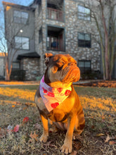 Load image into Gallery viewer, Valentine&#39;s Day Lolipops Bandana
