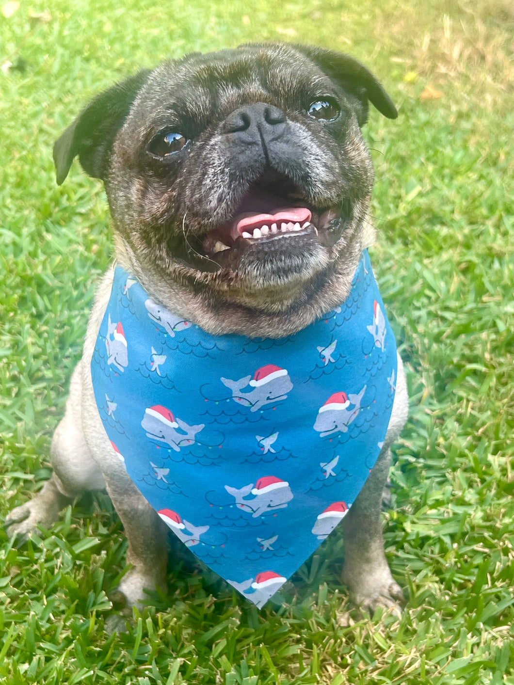 Santa Whales Dog Bandana