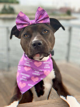 Load image into Gallery viewer, Purple Rescued and Loved Bandana/Bow Set
