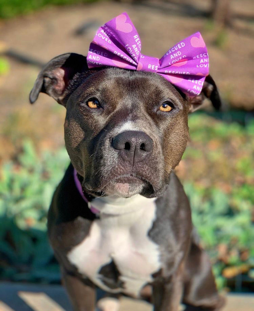 Purple Rescued and Loved Bow Headband/Bow Tie