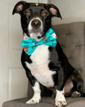 Load image into Gallery viewer, Teal Don’t Bully My Breed Bow Headband/Bow Tie
