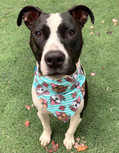 Load image into Gallery viewer, Floral Pitties Bandana
