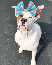 Load image into Gallery viewer, Pittie Love Bow Headband/Bow Tie
