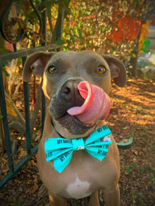 Teal Don’t Bully My Breed Bow Tie