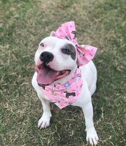 Pitties in Pearls and Bows Bandana/Bow