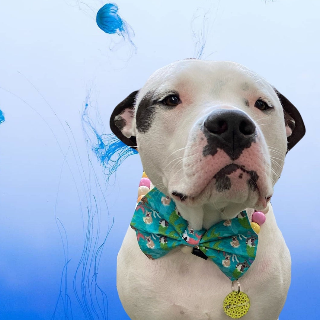 Mermaid Pitties Bow Headband/Bow Tie