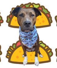 Load image into Gallery viewer, Feed Me Tacos &amp; Tell Me I’m Pretty Bandana
